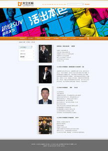 2013年网页设计项目 网站开发及运营的全景回顾